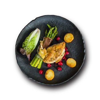plate1