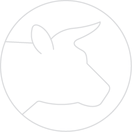 product-icon (2)