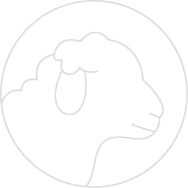 product-icon (3)